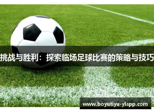 挑战与胜利：探索临场足球比赛的策略与技巧